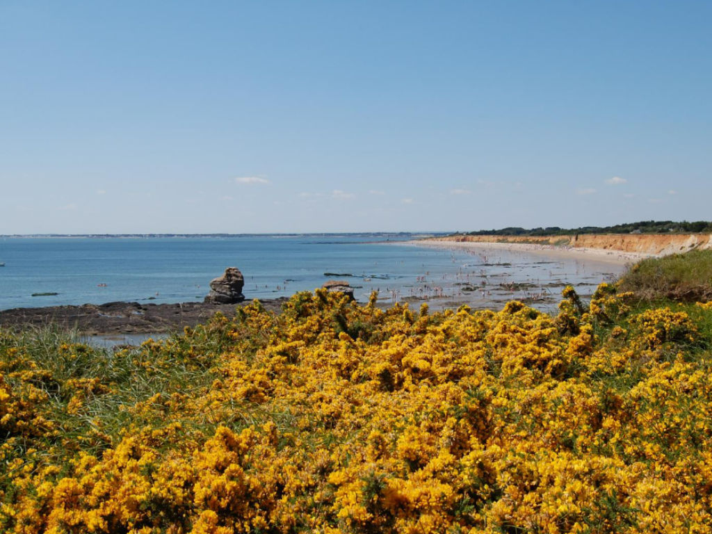 Gîte le Cocon Breton **