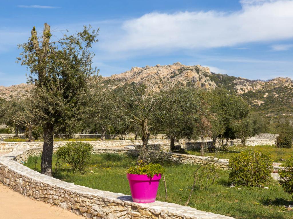 Mini-villas à Bonifacio avec piscine chauffée