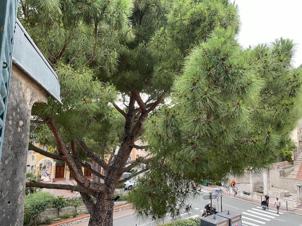 Duplex dans maison de village
