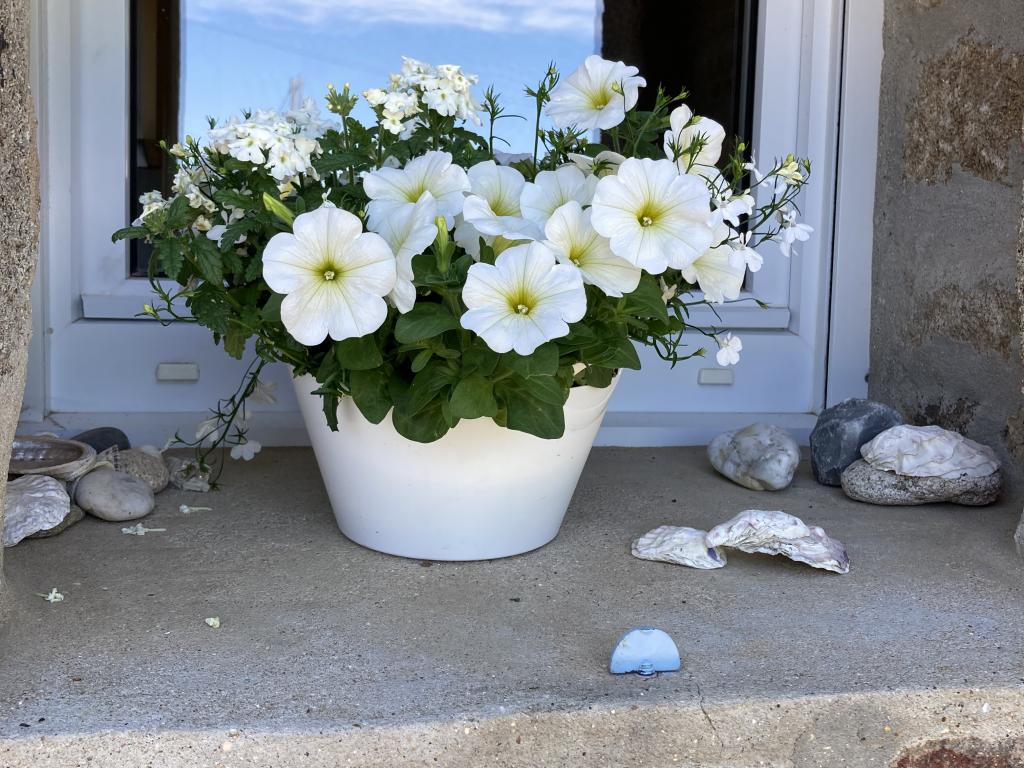 " Le Cottage aux volets bleus" est une longère pleine de charme et de grand confort. Elle est nichée dans un jardin clos, proche de la mer et des sentiers de randonnées (GR 34)