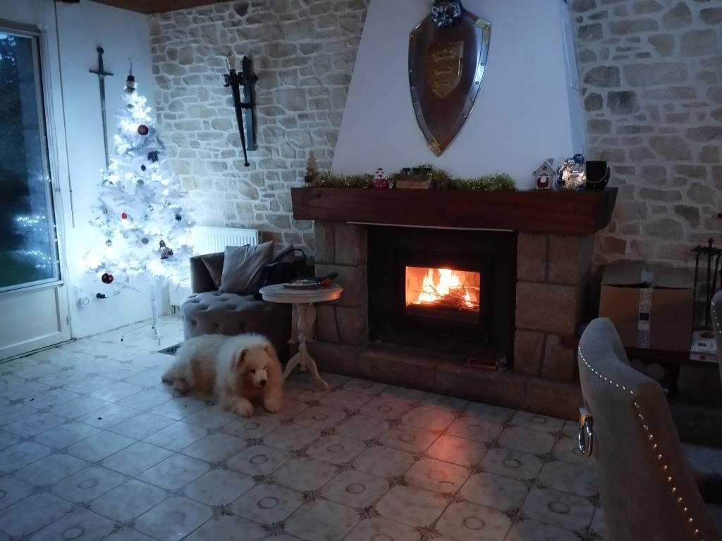 Repaire du loup blanc Brocéliande