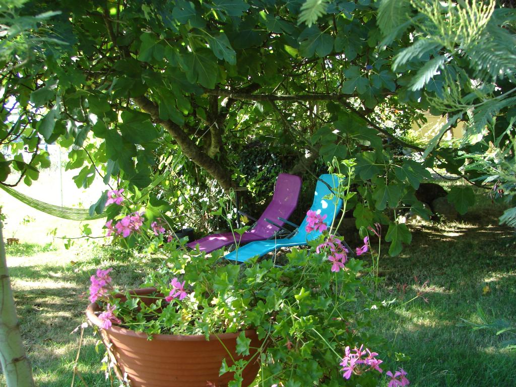Gite Petit Jardin, calme et nature