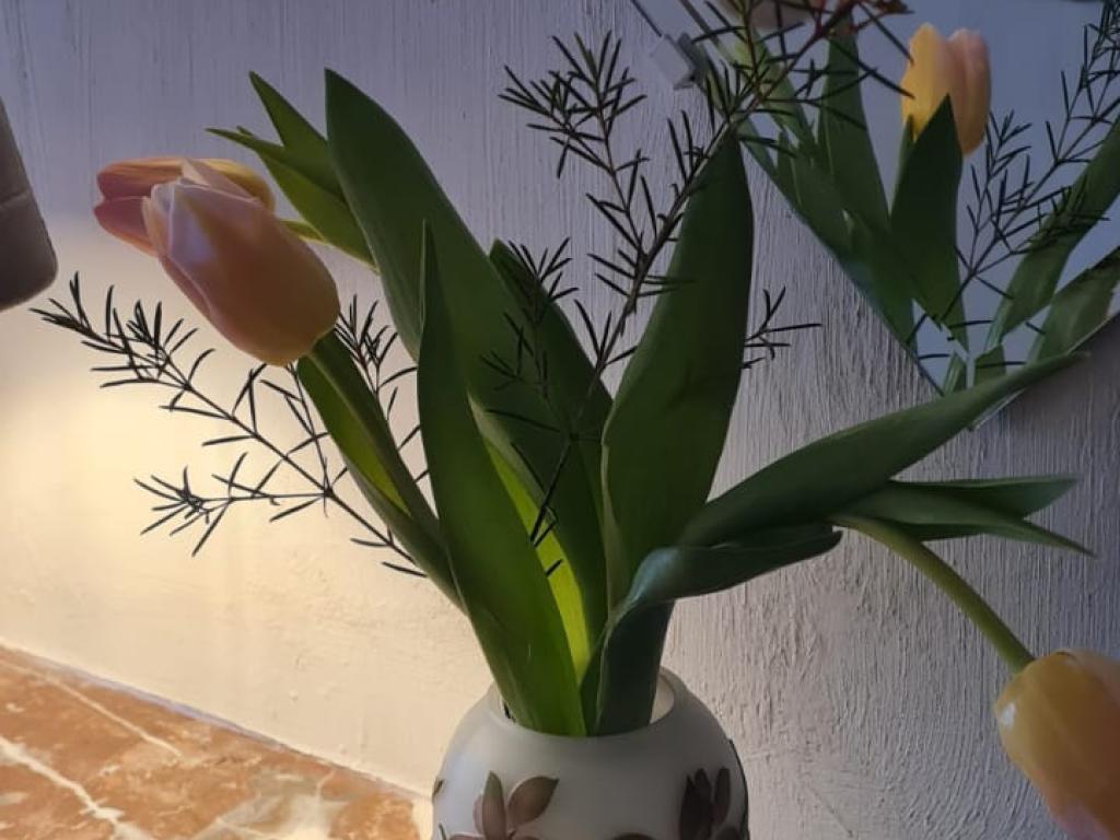 Spacieuse maison de village pour 5 personnes avec charmant patio fleuri en Toscane Auvergnate