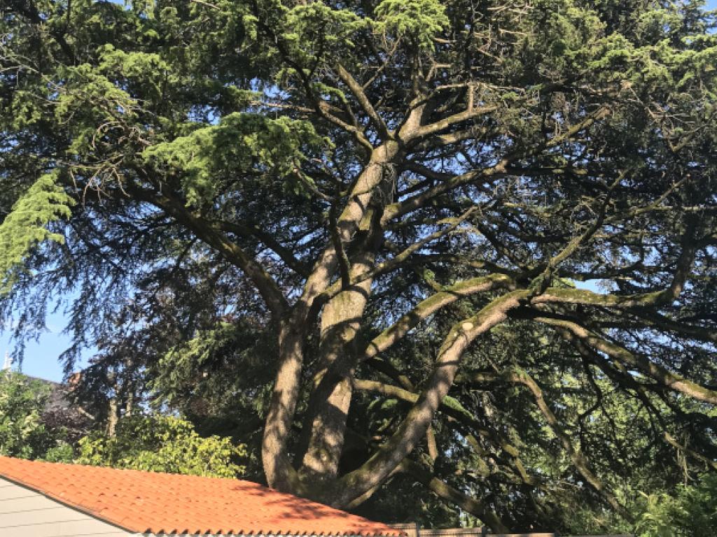 Gîte du Colombier, 3*, 2/4 pers., proche Puy du Fou, Vendée