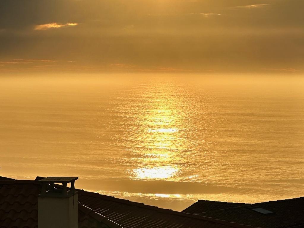 Vue de l'Océan à la forêt, la plage à vos pieds