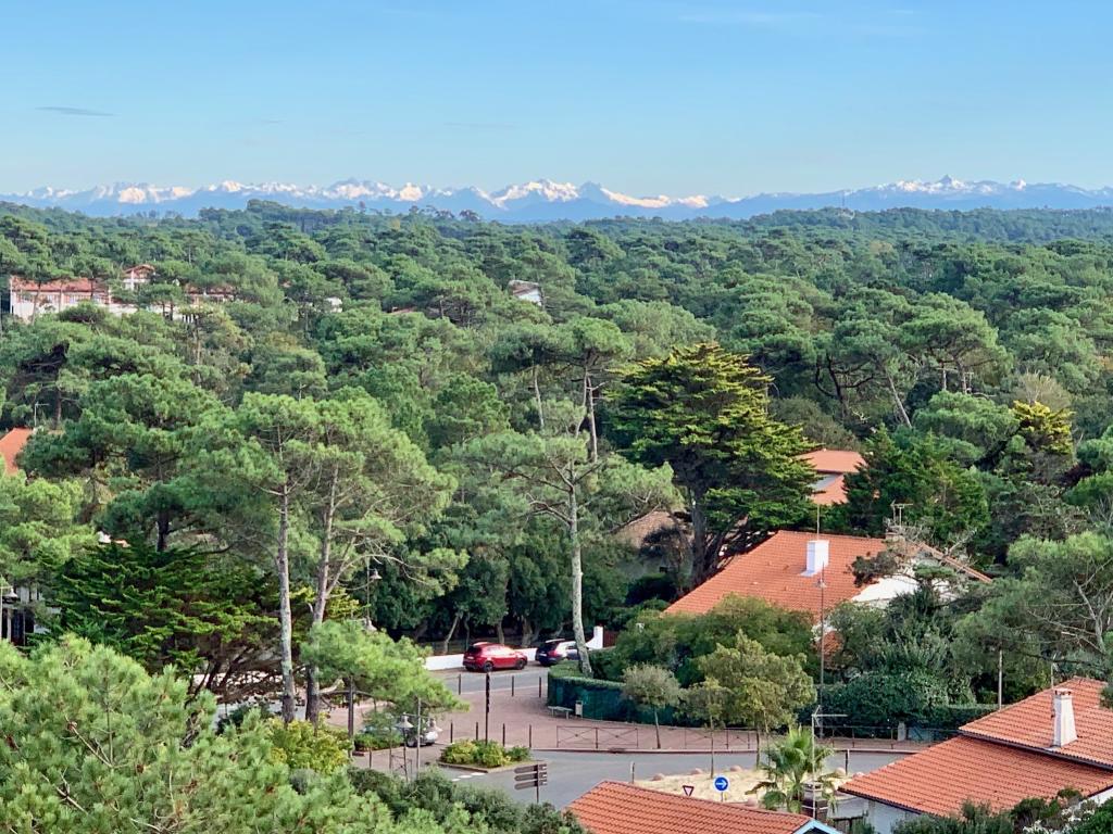 Vue de l'Océan à la forêt, la plage à vos pieds