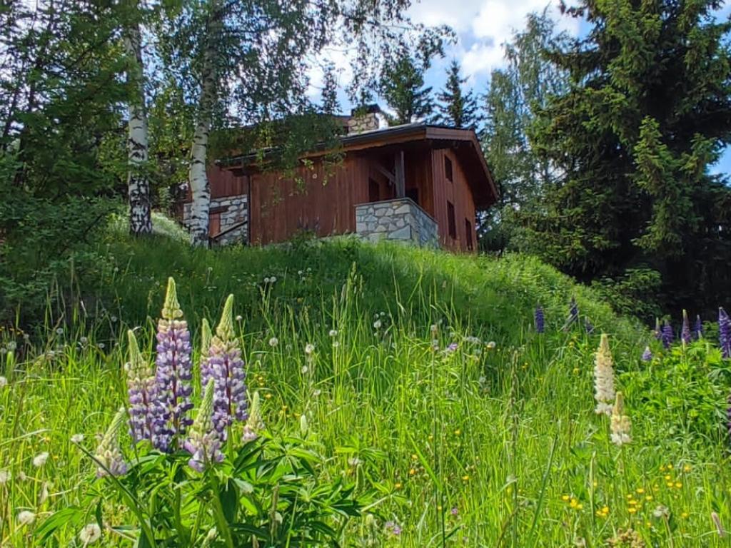 Chalet Chamois • La Plagne  • Paradiski Chalet Ski au pied à louer • 4 chambres - 10 personnes Altitude 1450m