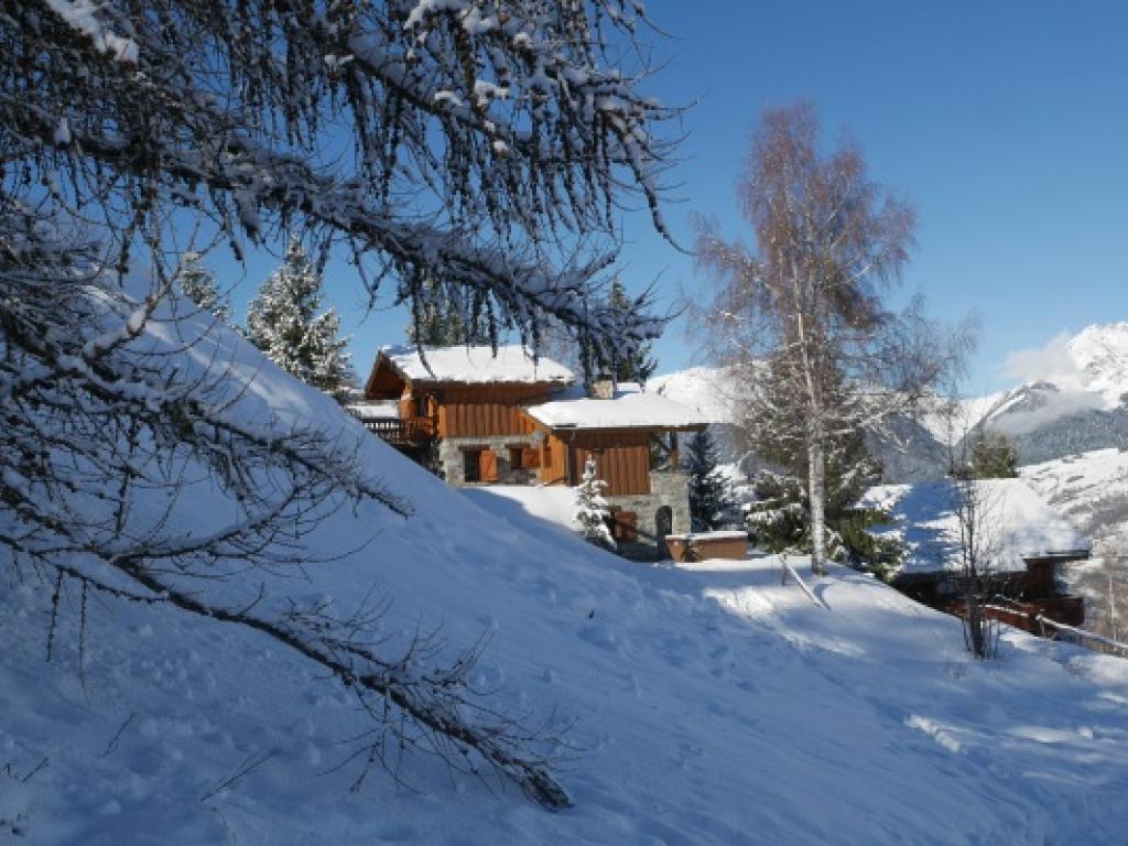 Chalet Chamois • La Plagne  • Paradiski Chalet Ski au pied à louer • 4 chambres - 10 personnes Altitude 1450m