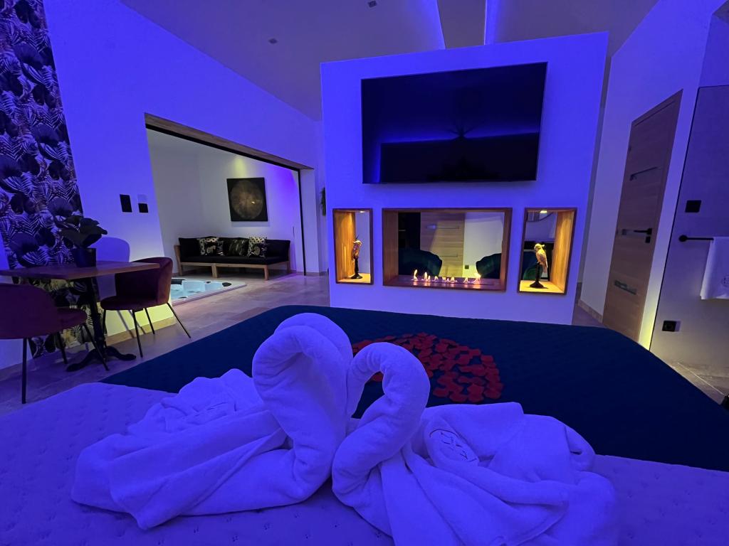 Suite privative de 65m2 avec piscine et spa