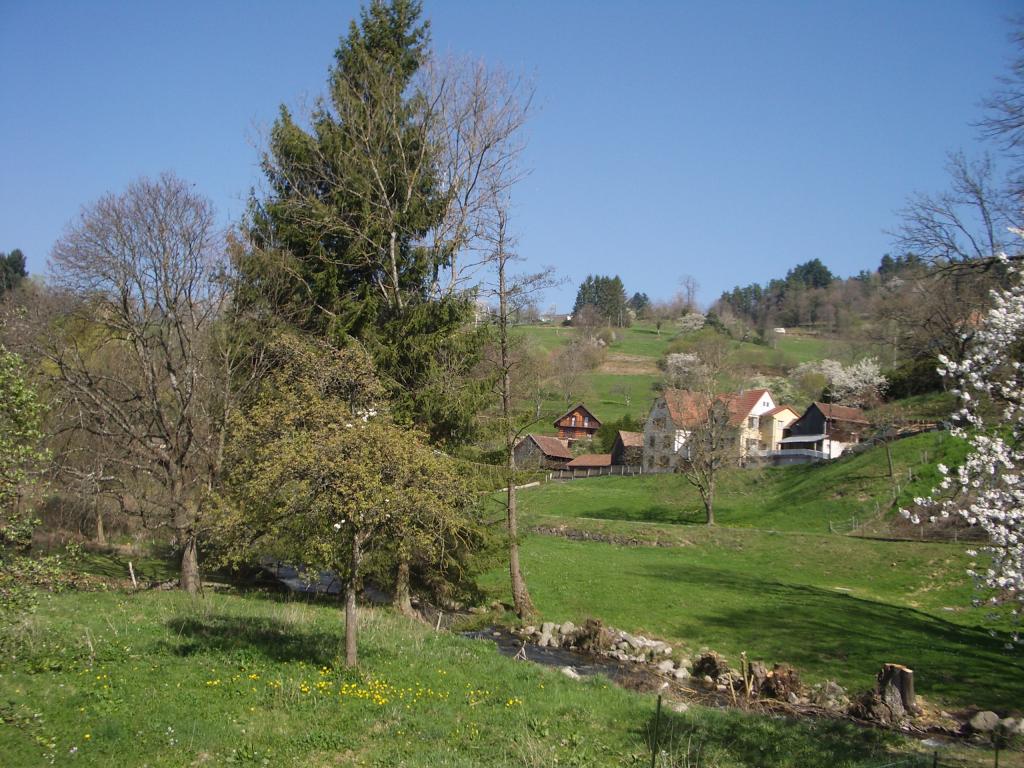 Location Elfe