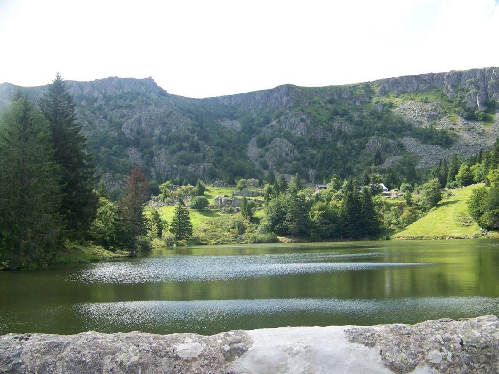 Location Elfe