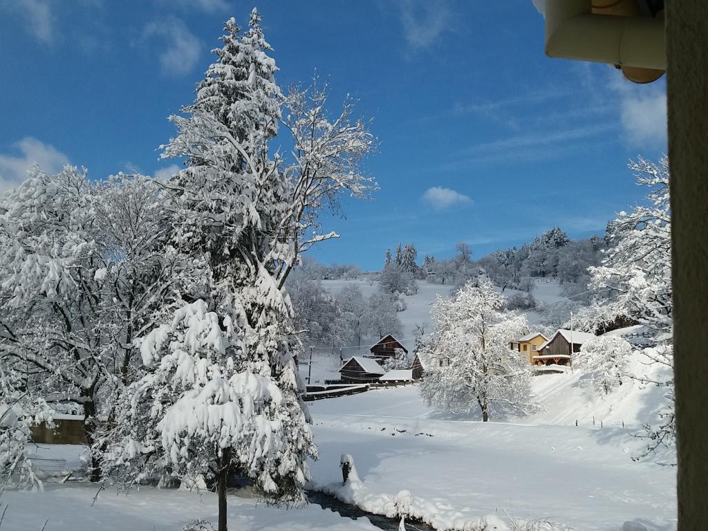 Location Elfe