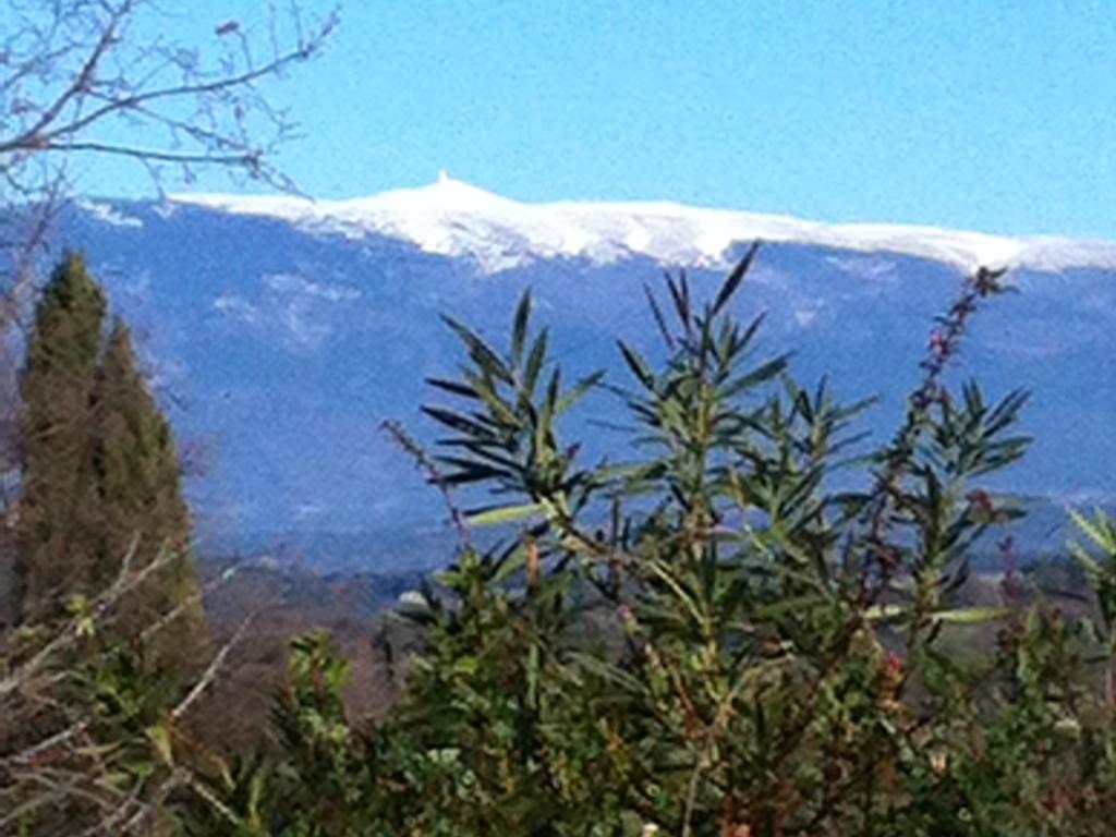Pernes-les-Fontaines, perle du Vaucluse aux 40 fontaines, proche de Isles-sur-Sorgue, de Gordes et du Ventoux