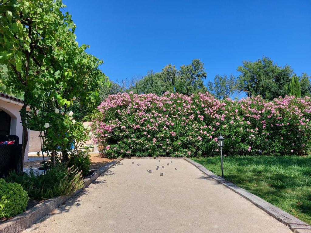 Les Carrairades - Charmante villa 5 étoiles, climatisée, au calme, vue sur les Alpilles, piscine au sel chauffée et sécurisée - 4 chambres, 8 couchages - Saint Rémy de Provence