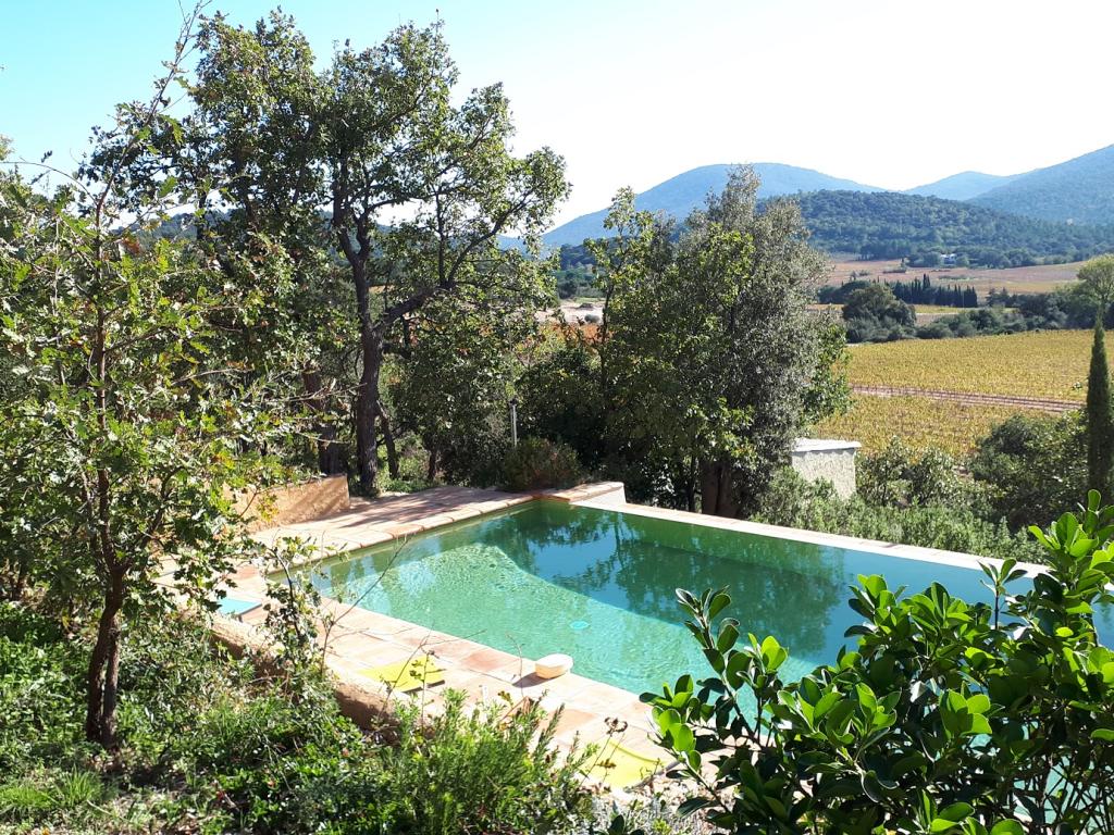 Mas des Vignes