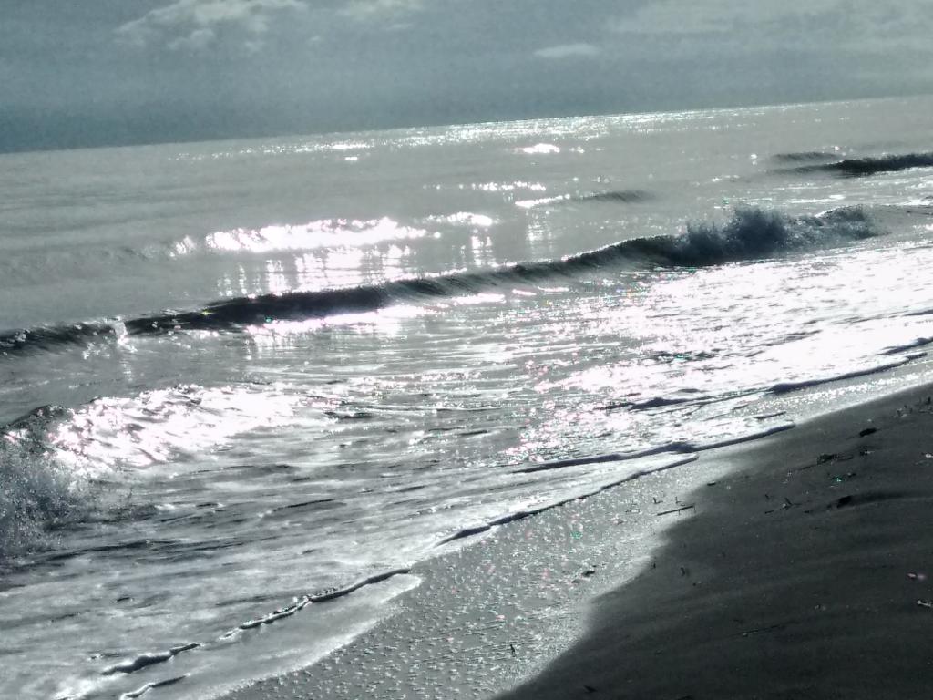 Un Nid Douillet en bord de plage !!