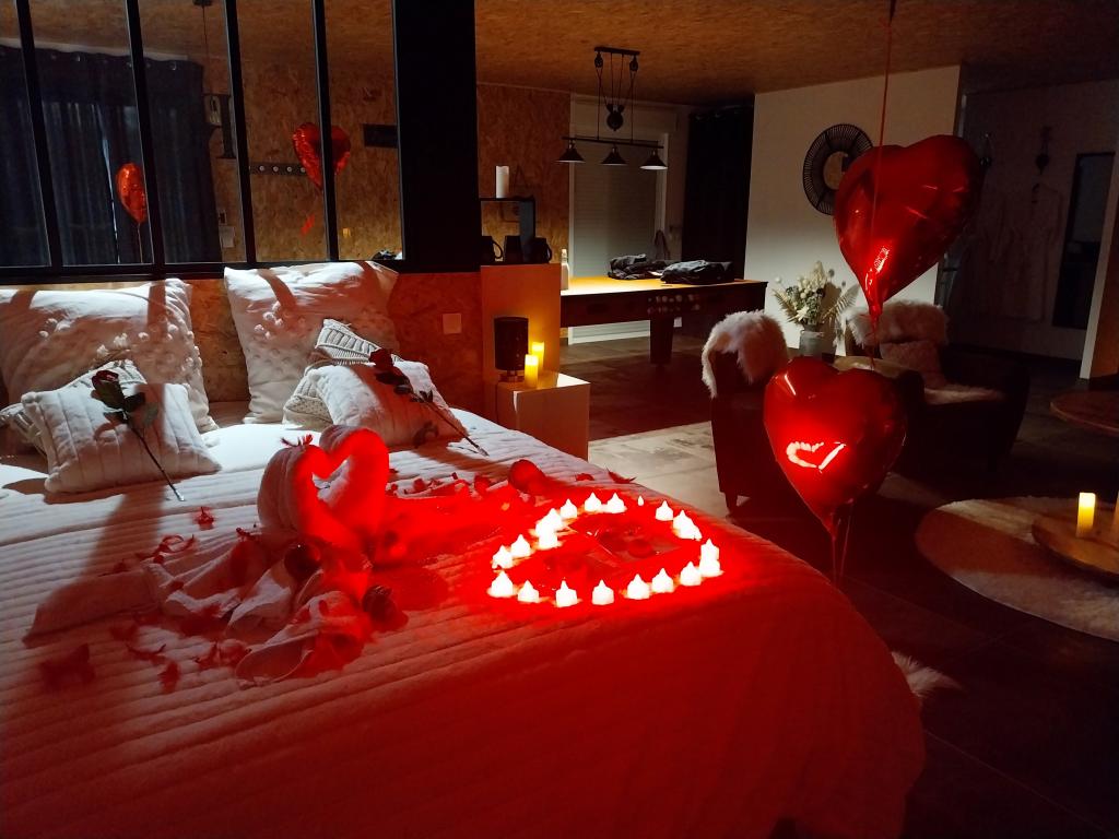 Loft "R"omain avec, piscine, SPA, Sauna, taille de billard/air hockey le tout privatif !!