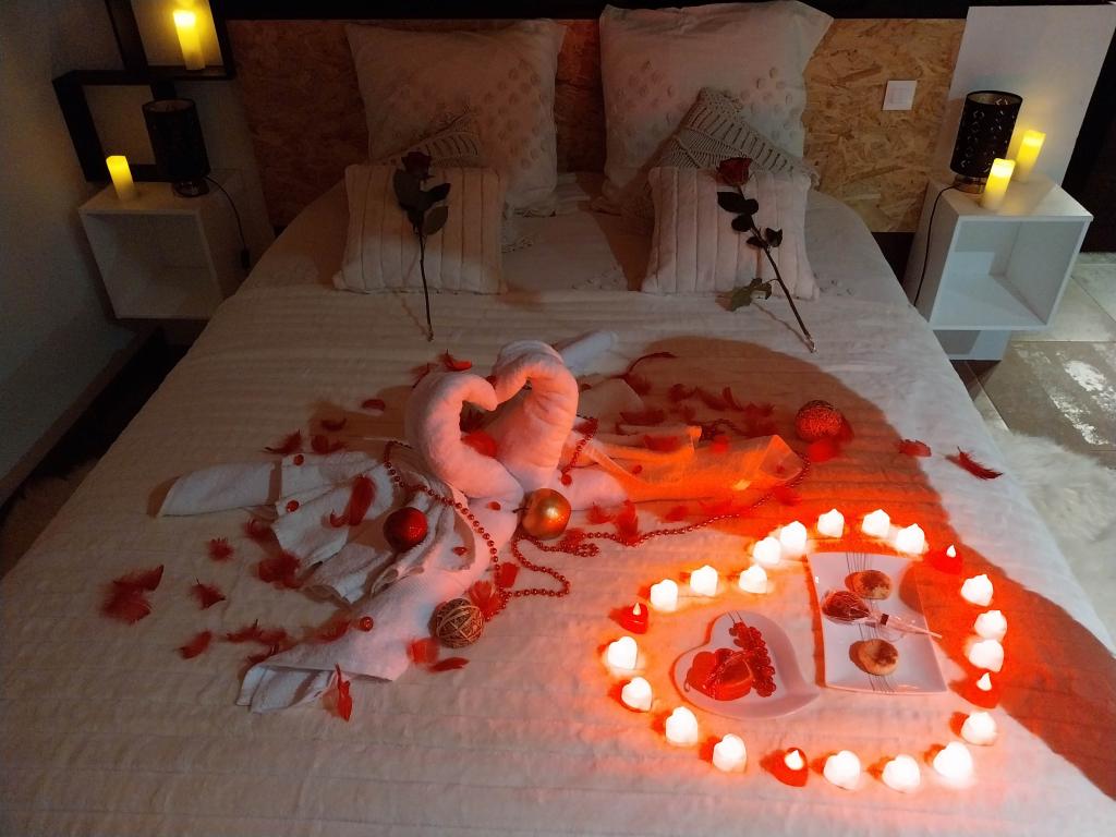 Loft "R"omain avec, piscine, SPA, Sauna, taille de billard/air hockey le tout privatif !!