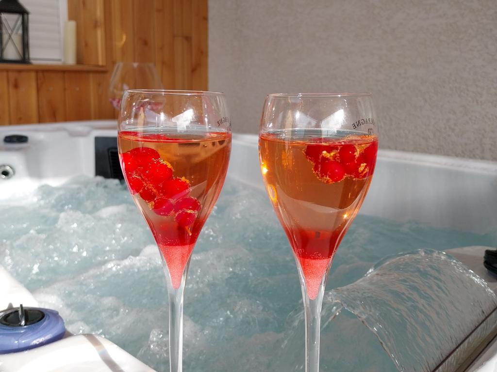 Loft "R"omain avec, piscine, SPA, Sauna, taille de billard/air hockey le tout privatif !!