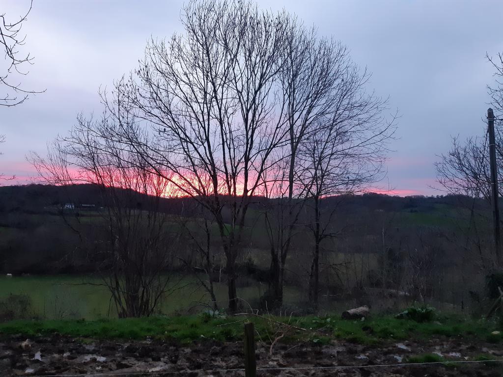 Les Gîtes du Domaine Helaku : le gîte Ozalée - Gîte à la ferme 4 étoiles en plein coeur du Béarn et du Jurançon