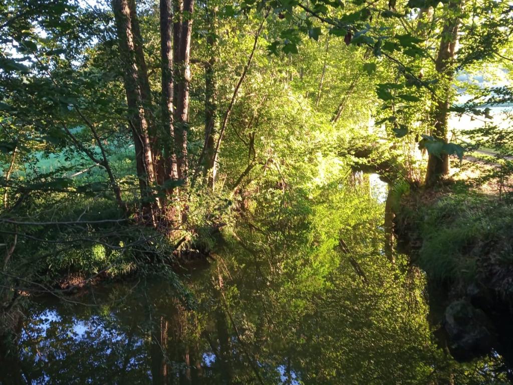 Gîte Donoma 4 étoiles au Domaine Helaku Gîte à la ferme en plein coeur du Béarn et du Jurançon 2 à 4 personnes