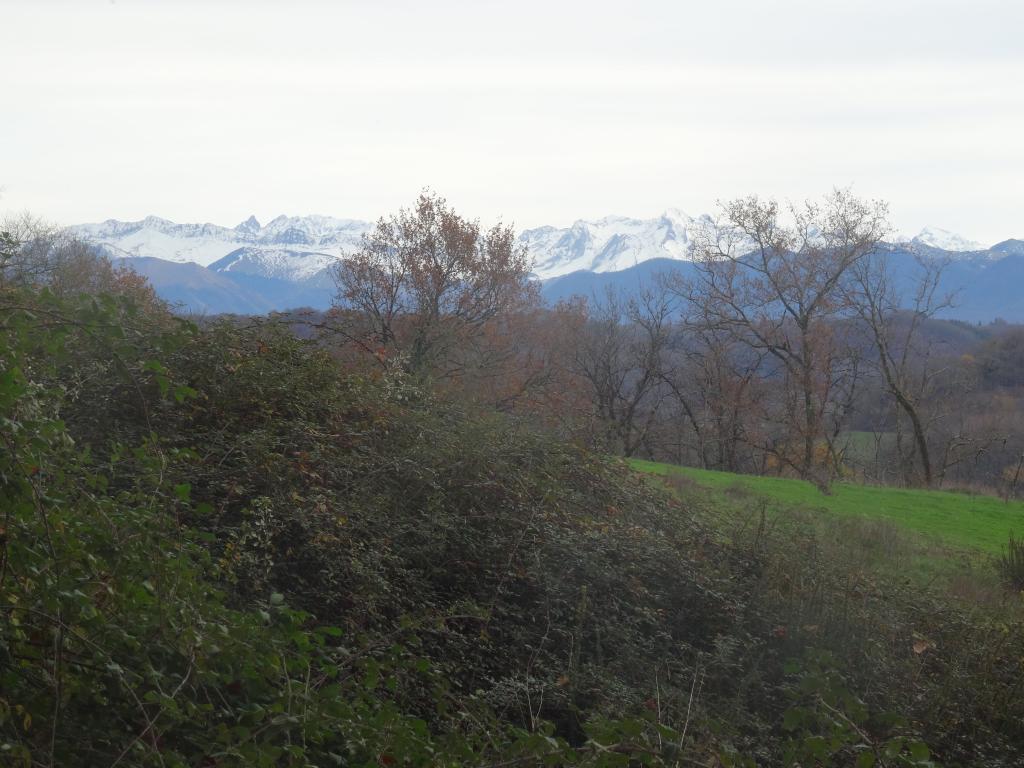 Les Gîtes du Domaine Helaku : le gîte Cholena - Gîte à la ferme 4 étoiles en plein coeur du Béarn et du Jurançon