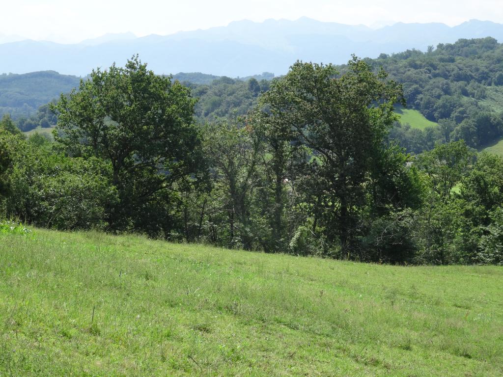 Gîte Donoma 4 étoiles au Domaine Helaku Gîte à la ferme en plein coeur du Béarn et du Jurançon 2 à 4 personnes