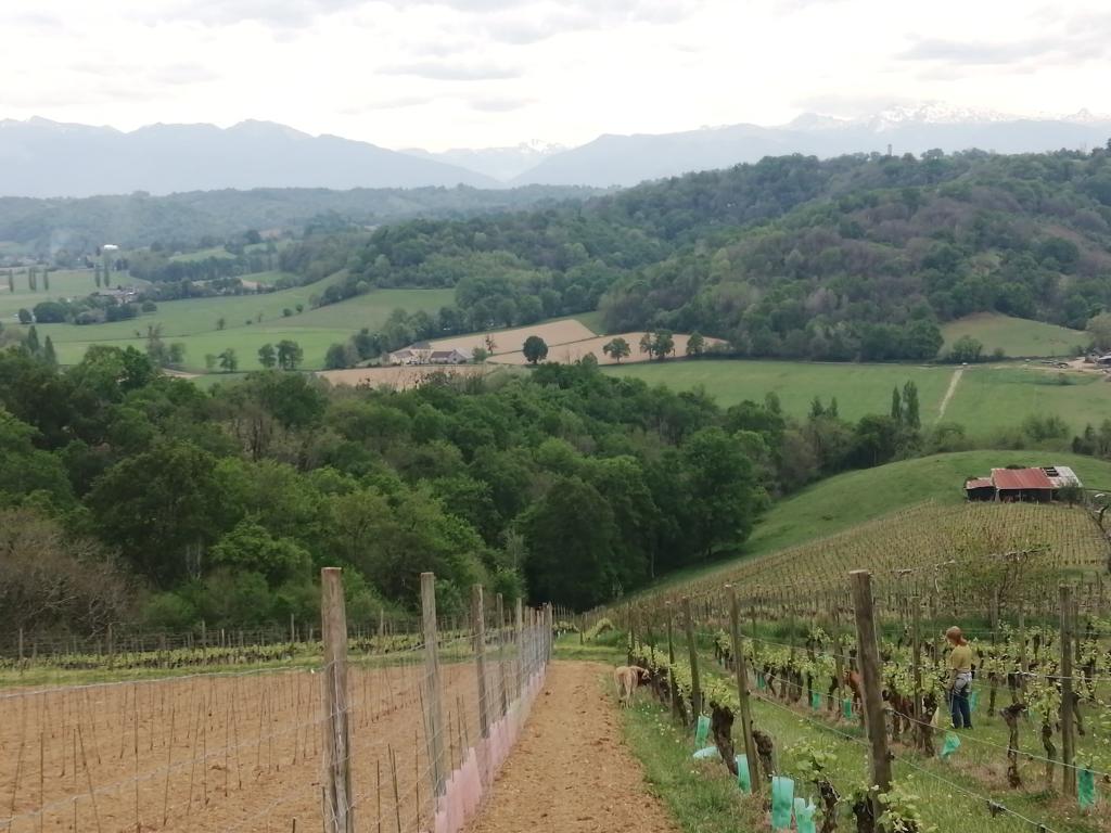 Les Gîtes du Domaine Helaku : le gîte Cholena - Gîte à la ferme 4 étoiles en plein coeur du Béarn et du Jurançon