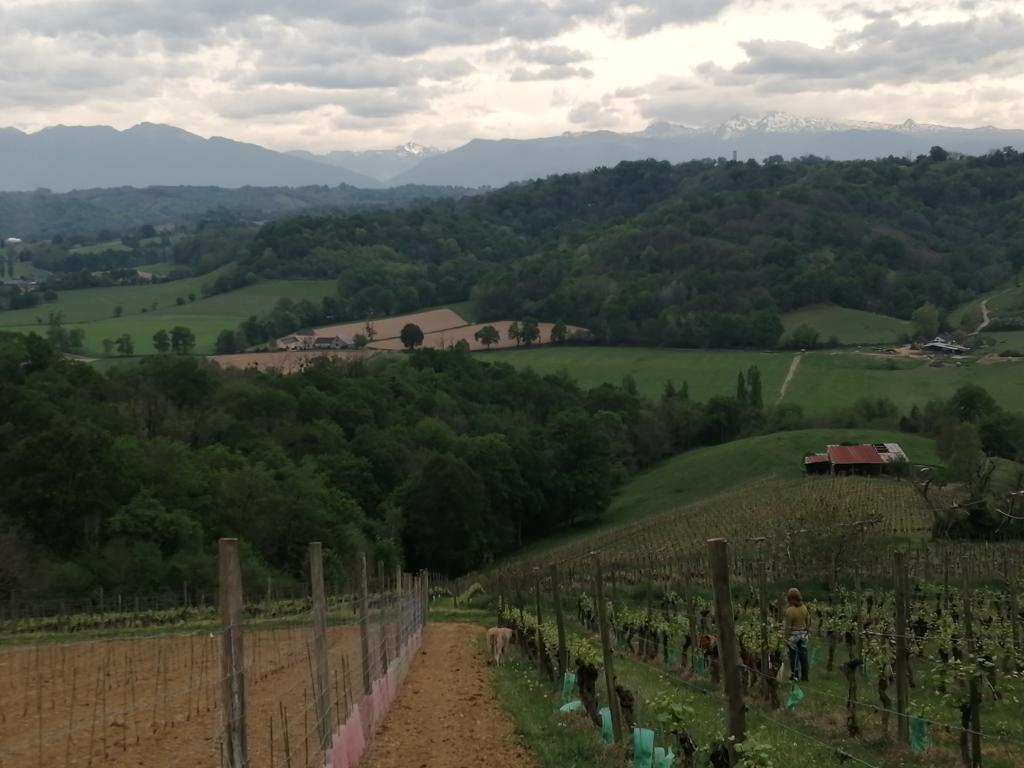 Gîte Donoma 4 étoiles au Domaine Helaku Gîte à la ferme en plein coeur du Béarn et du Jurançon 2 à 4 personnes