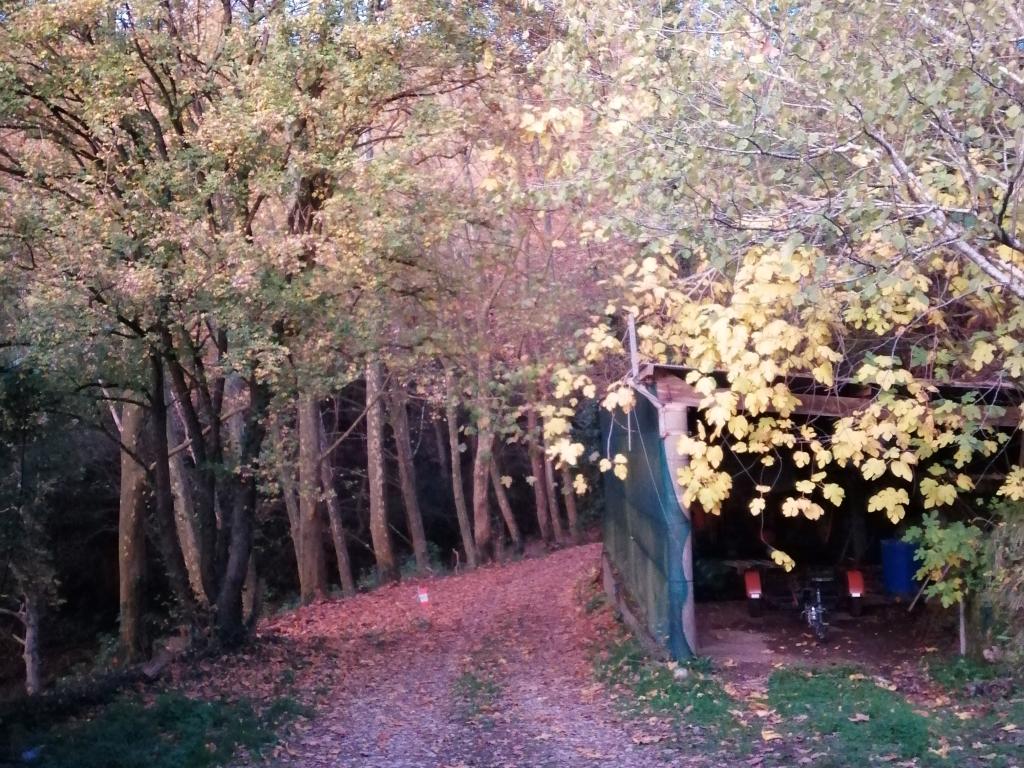 Gîte Donoma 4 étoiles au Domaine Helaku Gîte à la ferme en plein coeur du Béarn et du Jurançon 2 à 4 personnes
