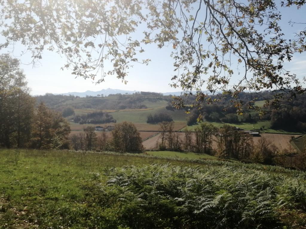 Les Gîtes du Domaine Helaku : le gîte Cholena - Gîte à la ferme 4 étoiles en plein coeur du Béarn et du Jurançon