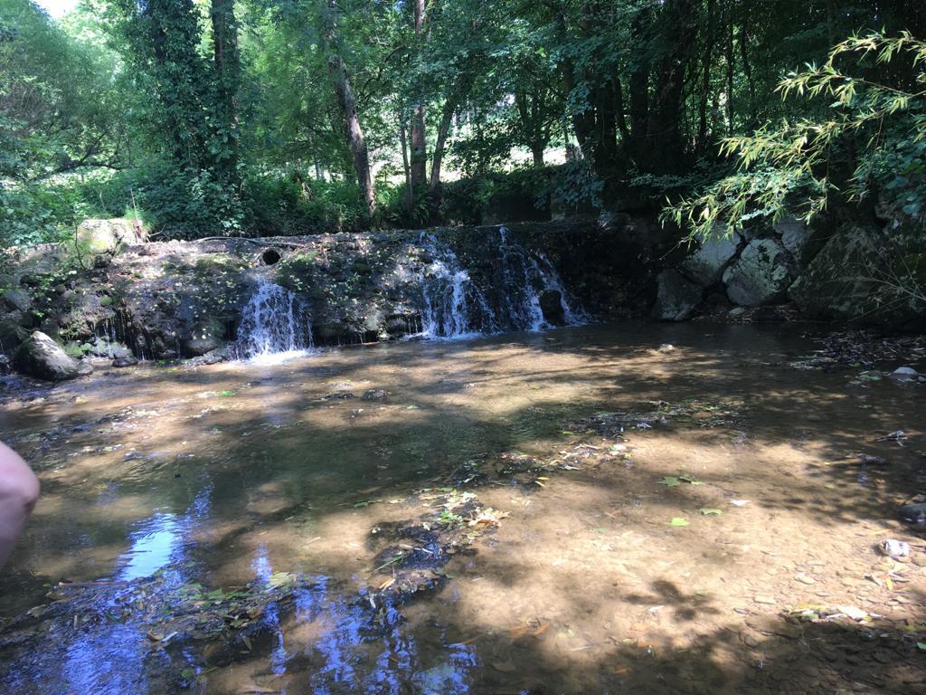 Les Gîtes du Domaine Helaku : le gîte Cholena - Gîte à la ferme 4 étoiles en plein coeur du Béarn et du Jurançon