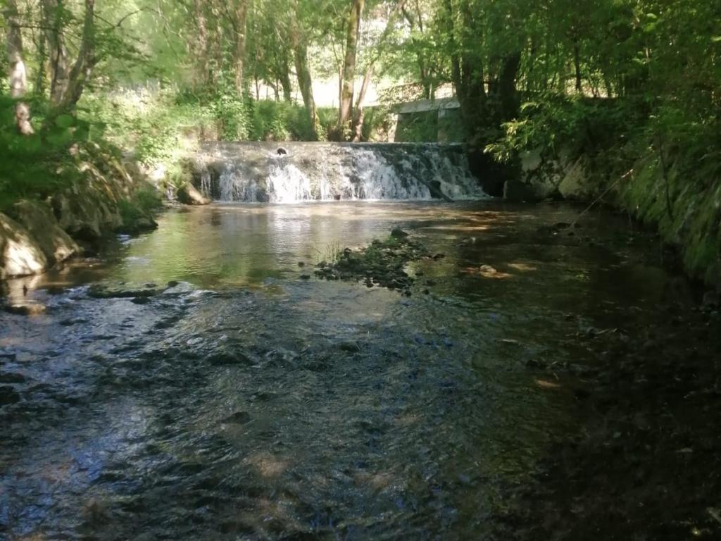 Les Gîtes du Domaine Helaku : le gîte Ozalée - Gîte à la ferme 4 étoiles en plein coeur du Béarn et du Jurançon