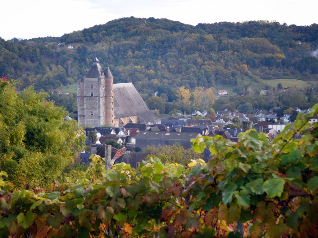 Les Gîtes du Domaine Helaku : le gîte Cholena - Gîte à la ferme 4 étoiles en plein coeur du Béarn et du Jurançon