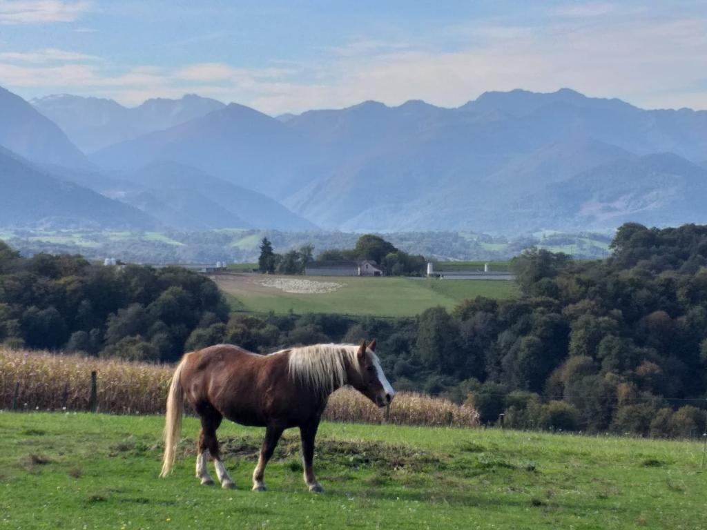 Jardin sur les Pyrénées "3 Voyageurs"