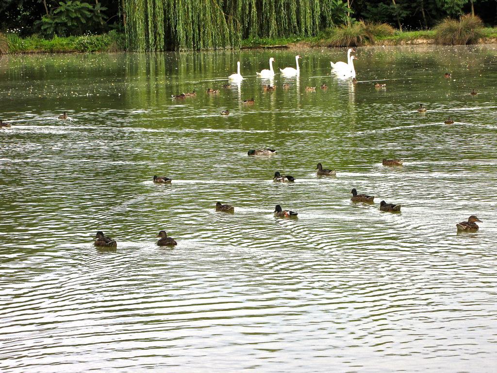 GRANDE VILLA DU CHATEAU EN TOURAINE
