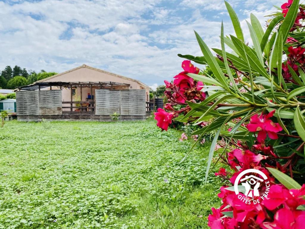 COSY OCCITAN  Carcassonne gite classé 3 * indépendant  baignoire balneo  2/4 personnes terrasse sur terrain clos bien situé