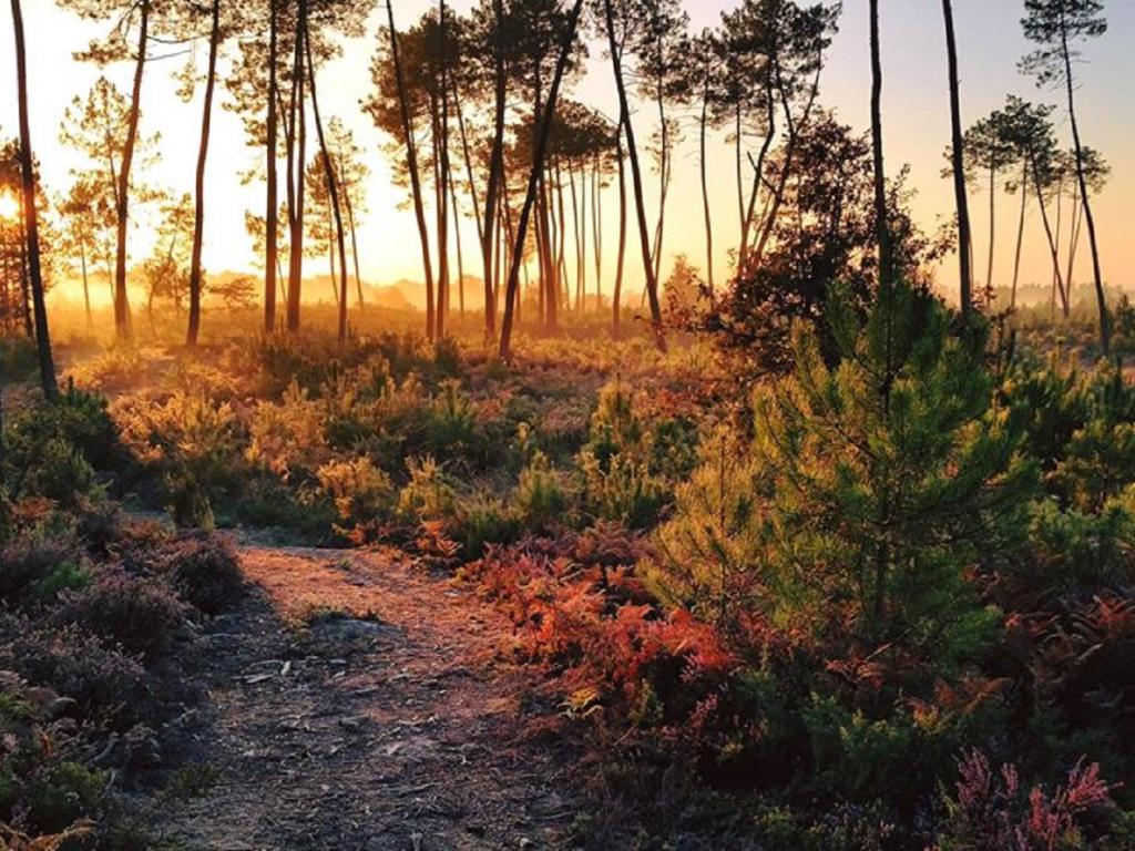 MOBILHOME 4 PLACES CAMPING 4* LANDES SUD