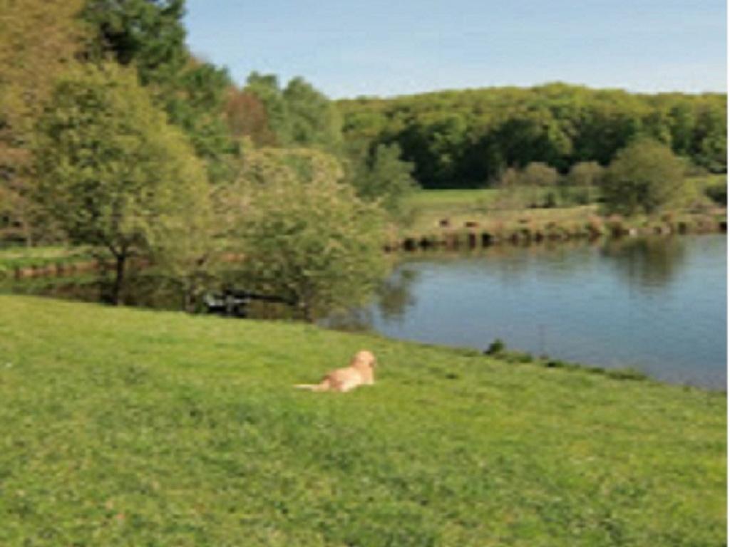 Gite à la ferme dans le Cantal avec pêche privé.