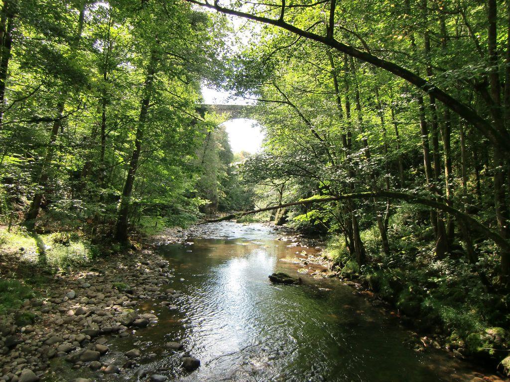 Cantal Chalet en bois avec étang de pêche privé sur place.