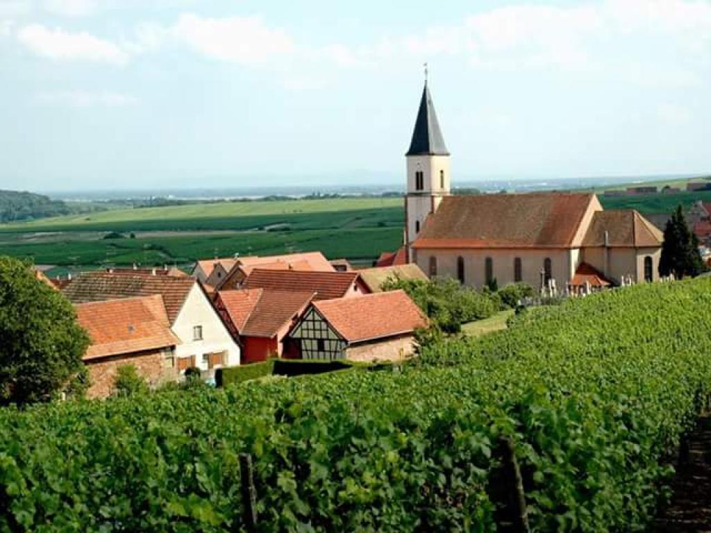 Au coeur de l'Alsace - Entre la route des vins et les Châteaux - Gîte labelisé Gîtes de France et Clévacances