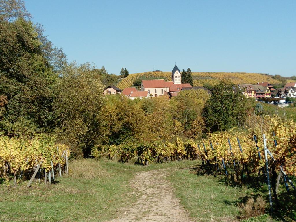 Au coeur de l'Alsace - Entre la route des vins et les Châteaux - Gîte labelisé Gîtes de France et Clévacances
