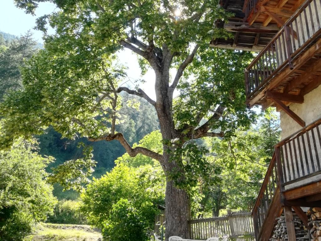 Gîte d'altitude ambiance montagne