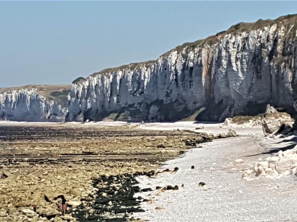 Gîte des prés est location de vacances *** 4 personnes dans un cadre champêtre, calme, reposant, idéalement situer a 8 km de la station balnéaire D étretat, Seine Maritime, France