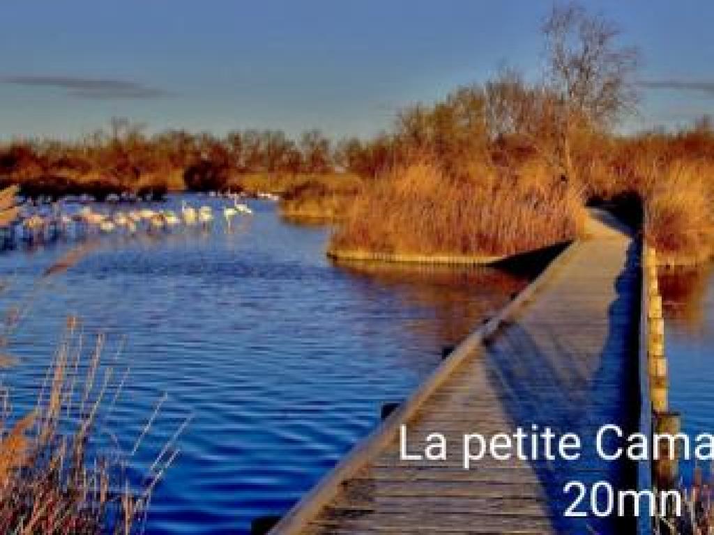 Maison PMR calme Labéllisée avec jardin parking privé proche de la grande motte et du grau du roi