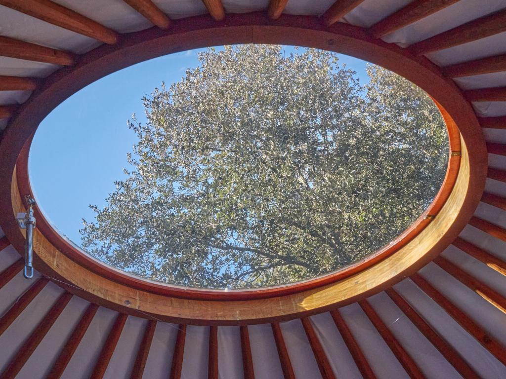 Ecolodges en Provence: La yourte
