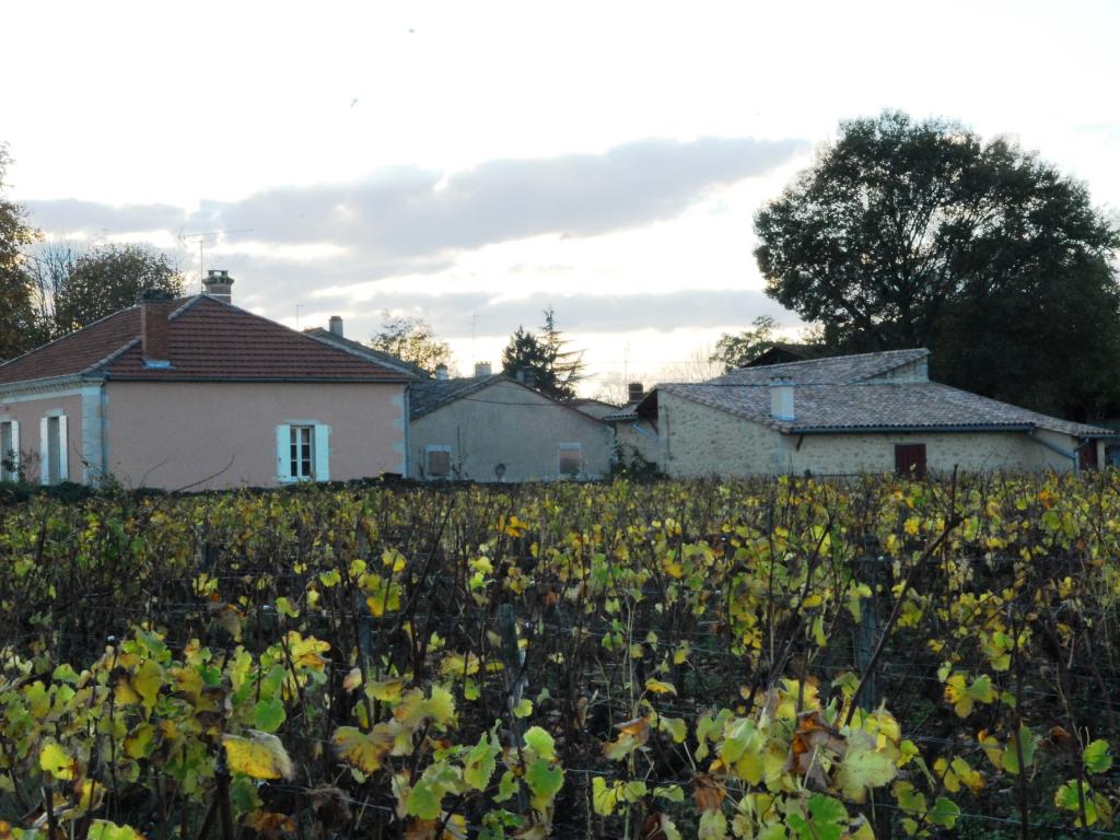 Gîte le Vieux Pressoir à Barsac (33) - piscine - jardins au cœur des vignobles du Sauternais