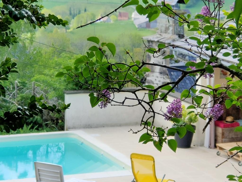 Maison traditionnelle dans les Monts du Cantal, au coeur des grands espaces,  avec piscine privée
