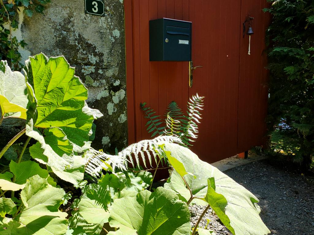 Maison traditionnelle dans les Monts du Cantal, au coeur des grands espaces,  avec piscine privée