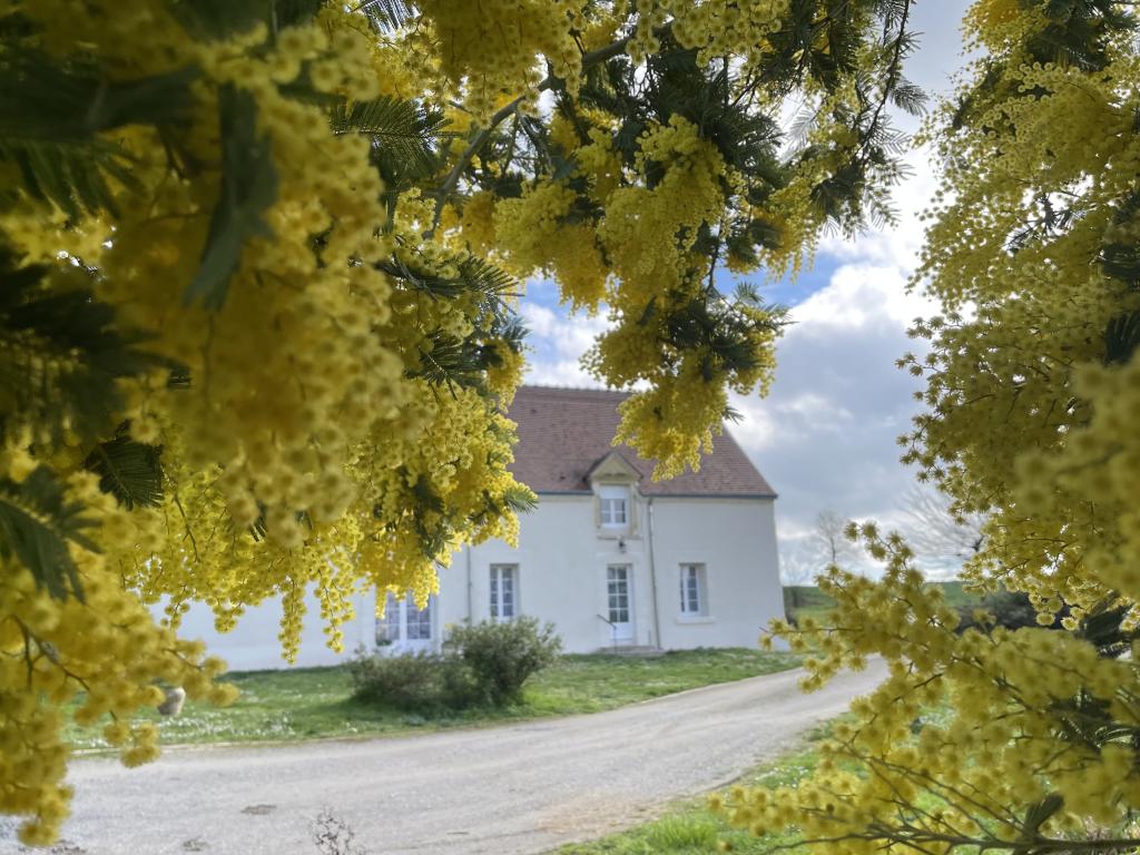 Maison les Mimosas